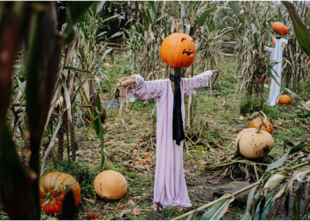 Hallowe'en at Ulster American Folk Park