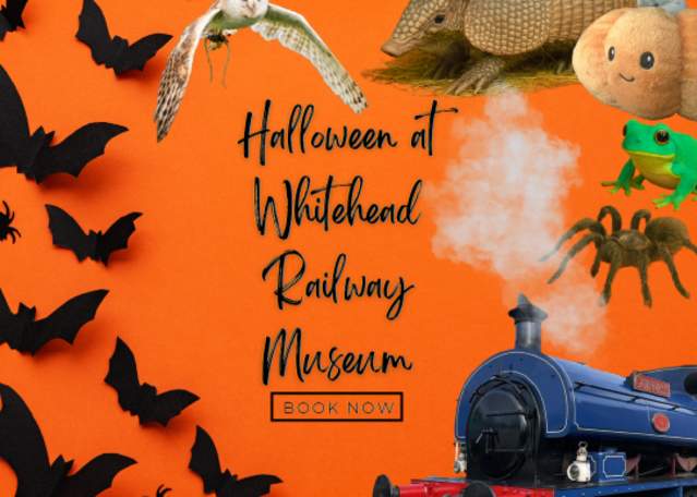 Pumpkins, Paws & Claws – A Spooktacular Halloween at Whitehead Railway Museum