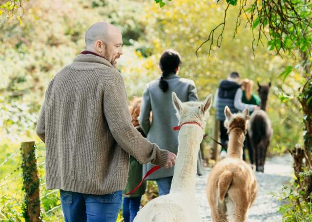 Ballyburren Outdoor Escapes