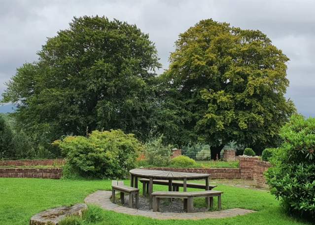 Belfastology: A Unique Belfast Walking Experience