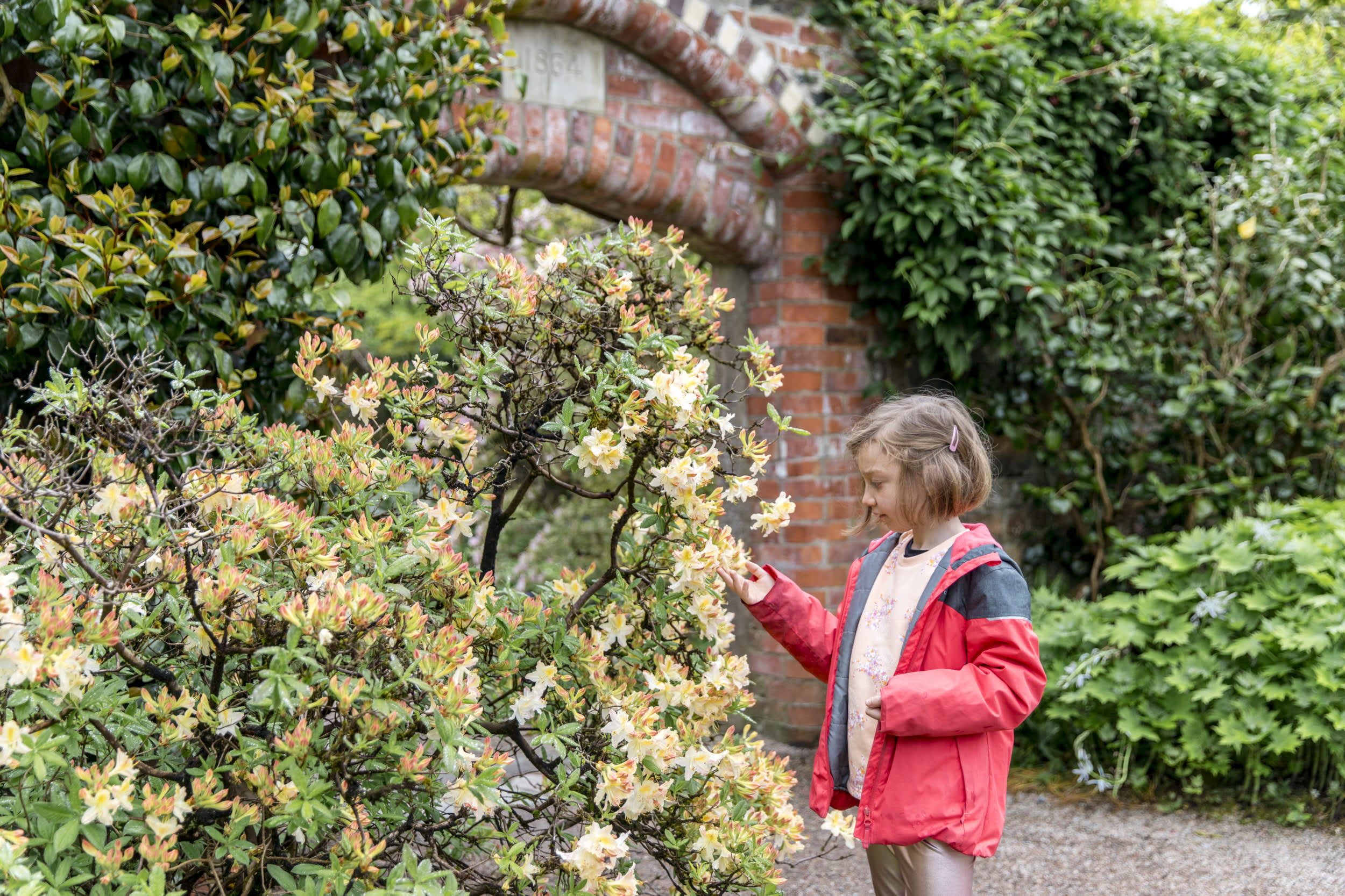 Rowallane Garden