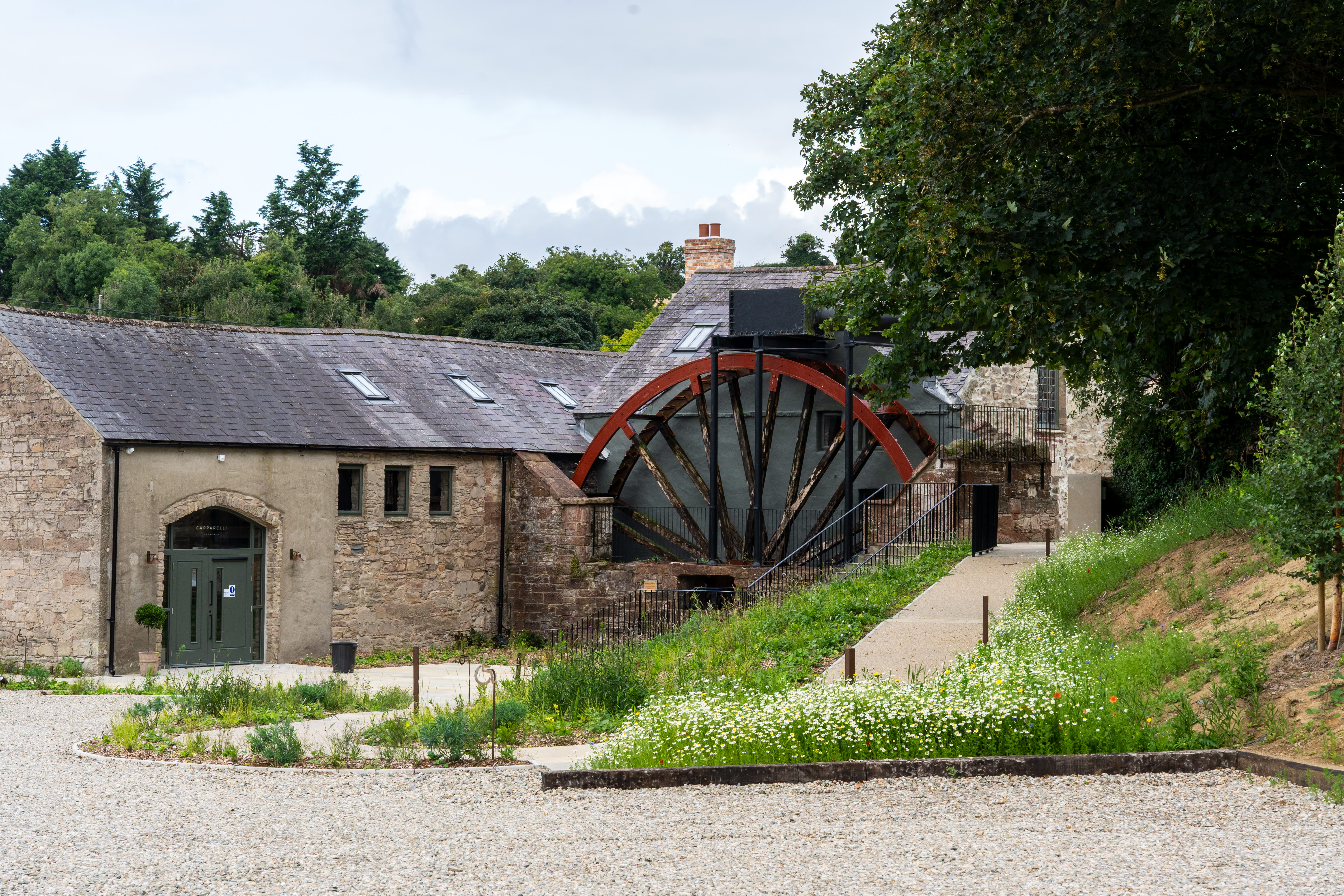 Capparelli at the Mill