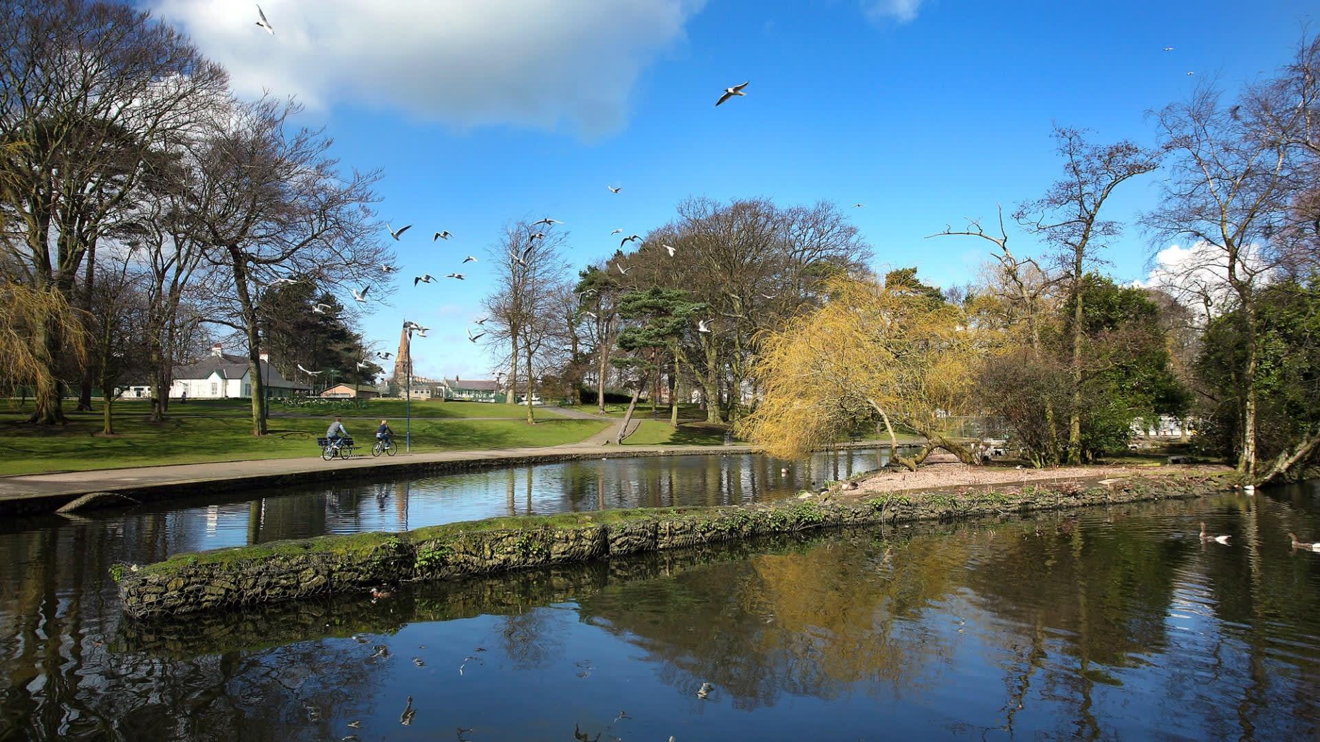 Ward Park