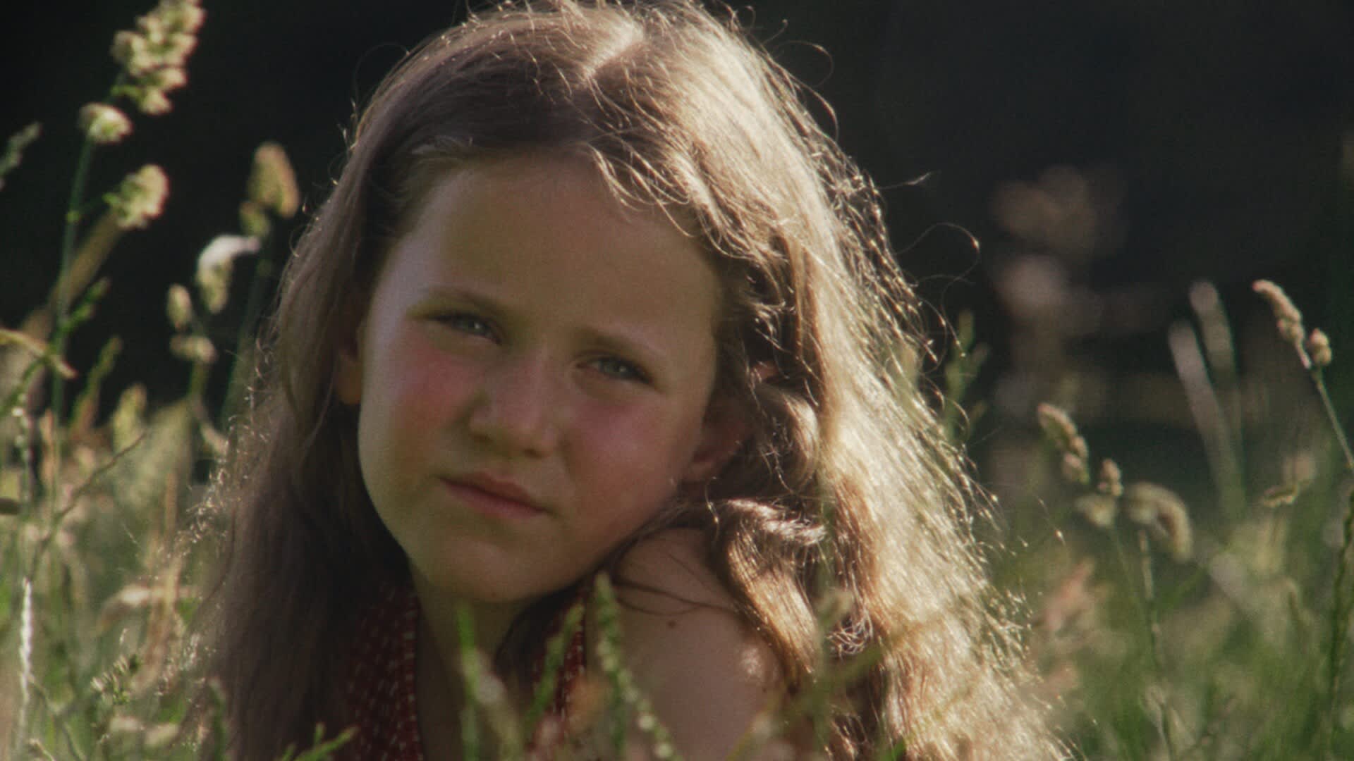 BFF: Competition Shorts Programme 2