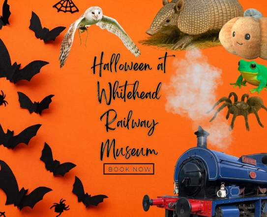 Pumpkins, Paws & Claws – A Spooktacular Halloween at Whitehead Railway Museum