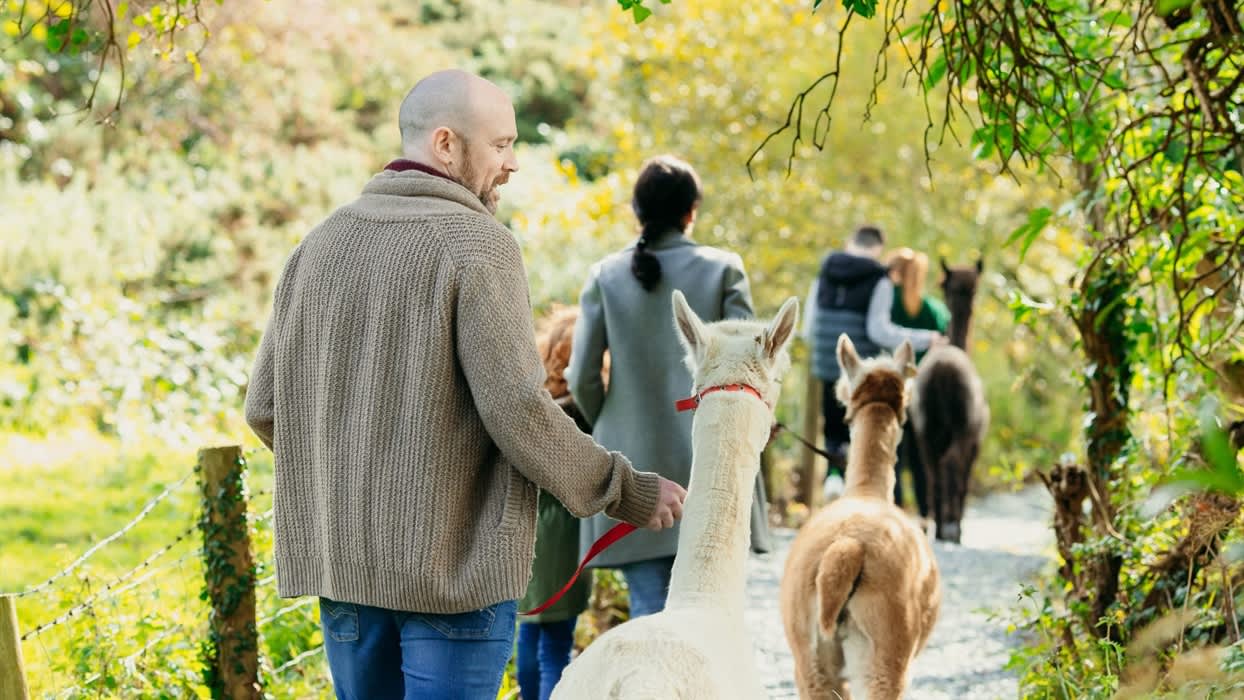 Ballyburren Outdoor Escapes