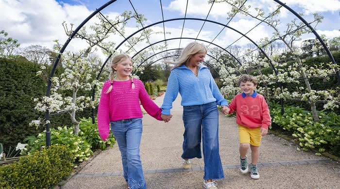 The Lindt Gold Bunny Hunt