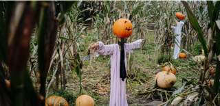 Halloween Family Fun - UFP