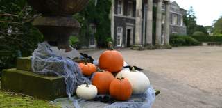 Halloween Mount Stewart