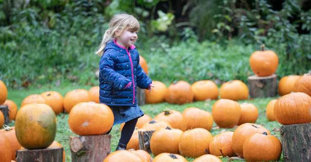 Halloween Family Fun