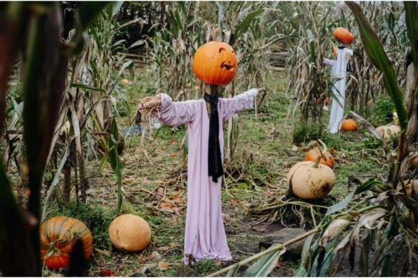 Halloween Family Fun - UFP