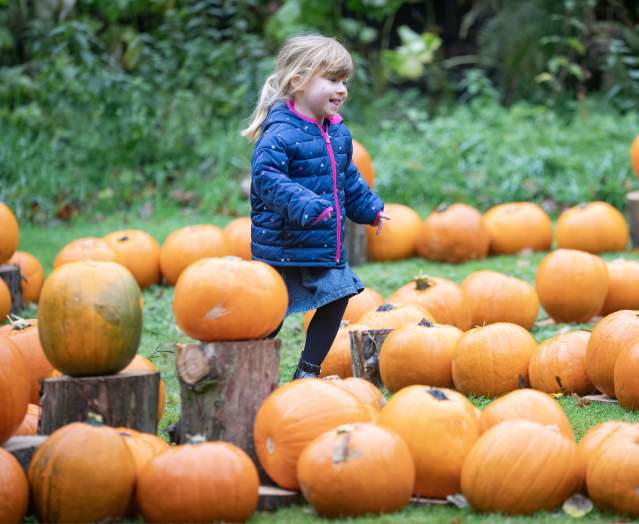 Halloween Family Fun