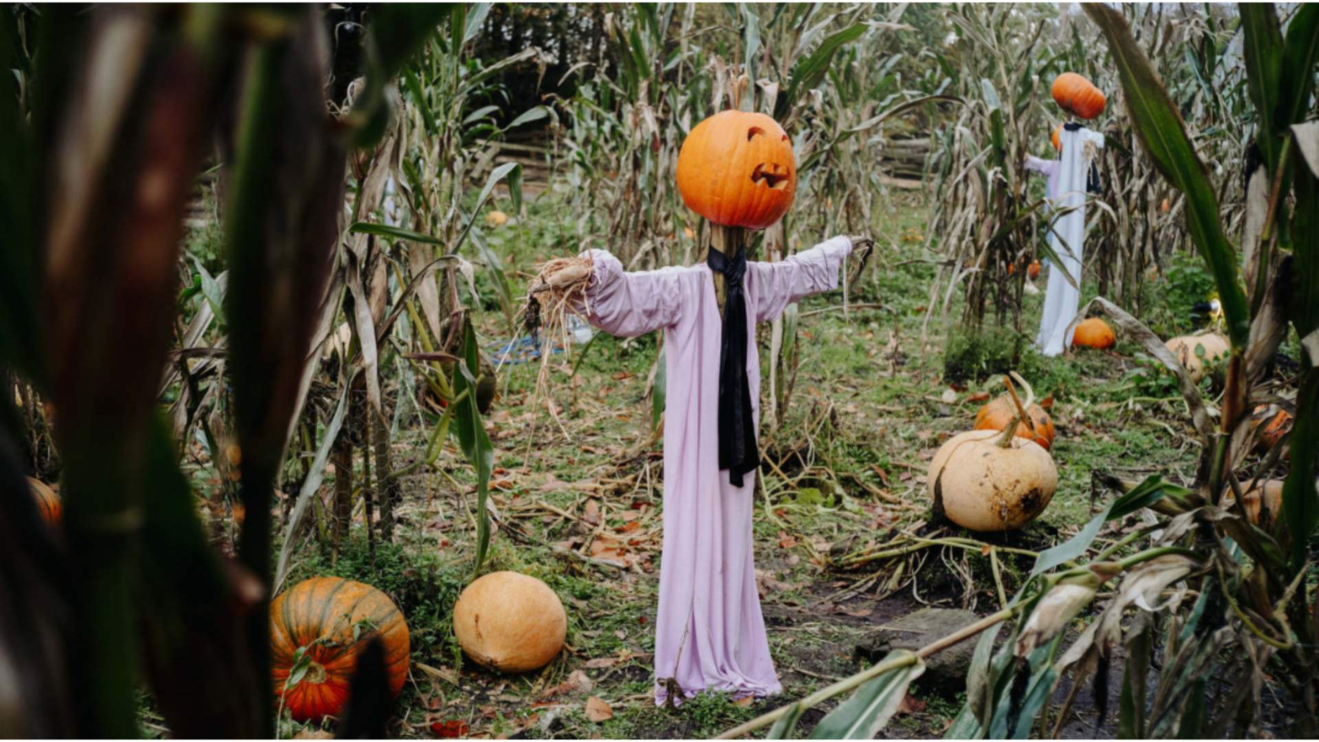 Halloween Family Fun - UFP
