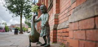 Girl and the goose