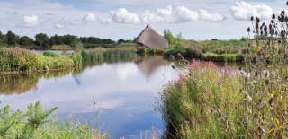 Castle Espie Crannog
