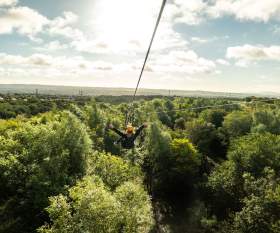 Things to do this Spring