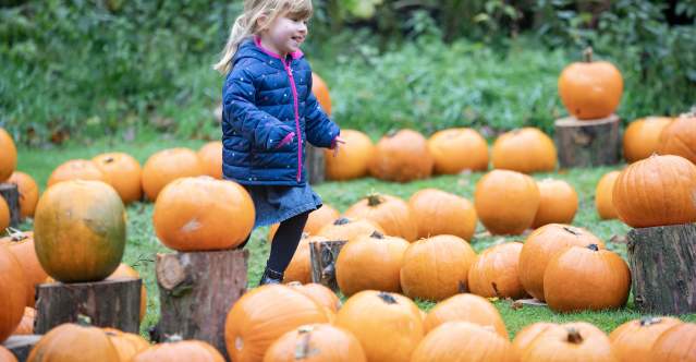 Halloween Family Fun