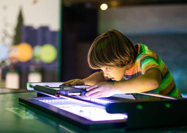 Top 10 Family Fun Attractions in Belfast