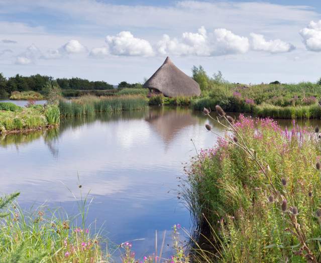 Castle Espie Crannog