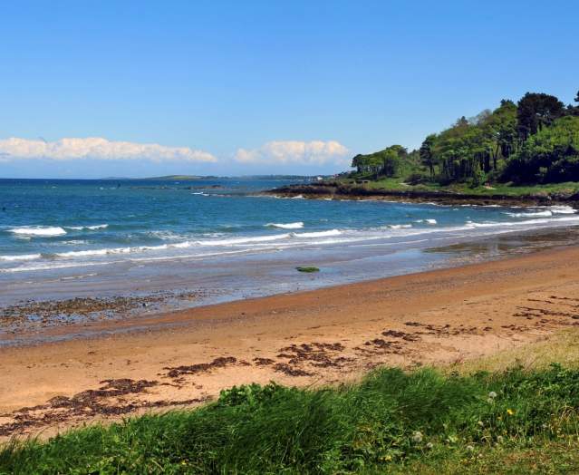 The Beach at Crawfordsburn Country Park