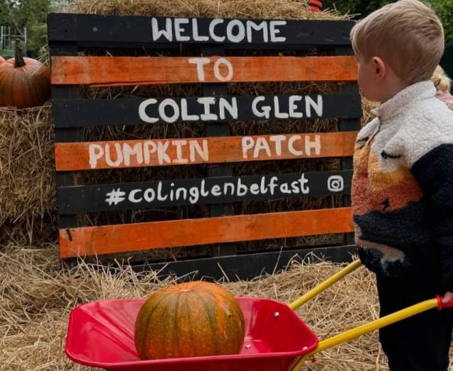 Best Pumpkin Patches in Belfast and Beyond