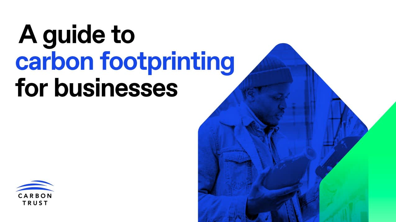 a guide to carbon footprinting