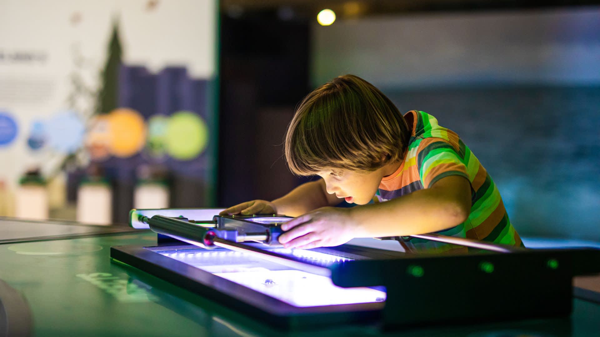 Top 10 Family Fun Attractions in Belfast