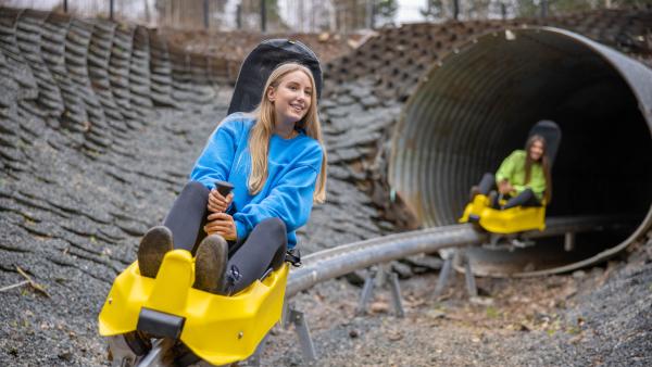 Colin-Glen-Forest-Park-Aline-Coaster