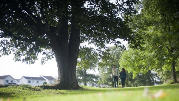 Couple walking through Moira Demesne