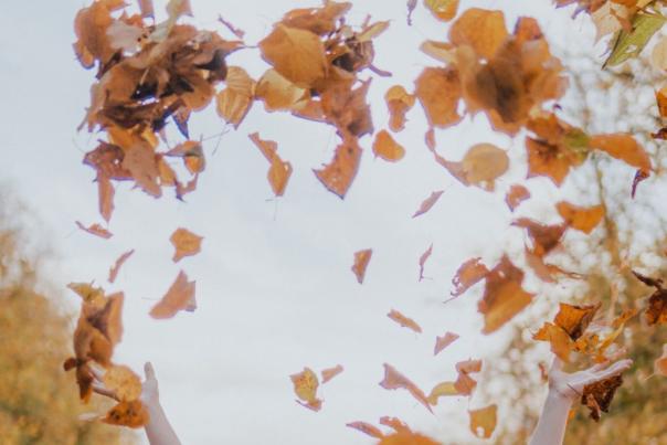 Autumn Leaves