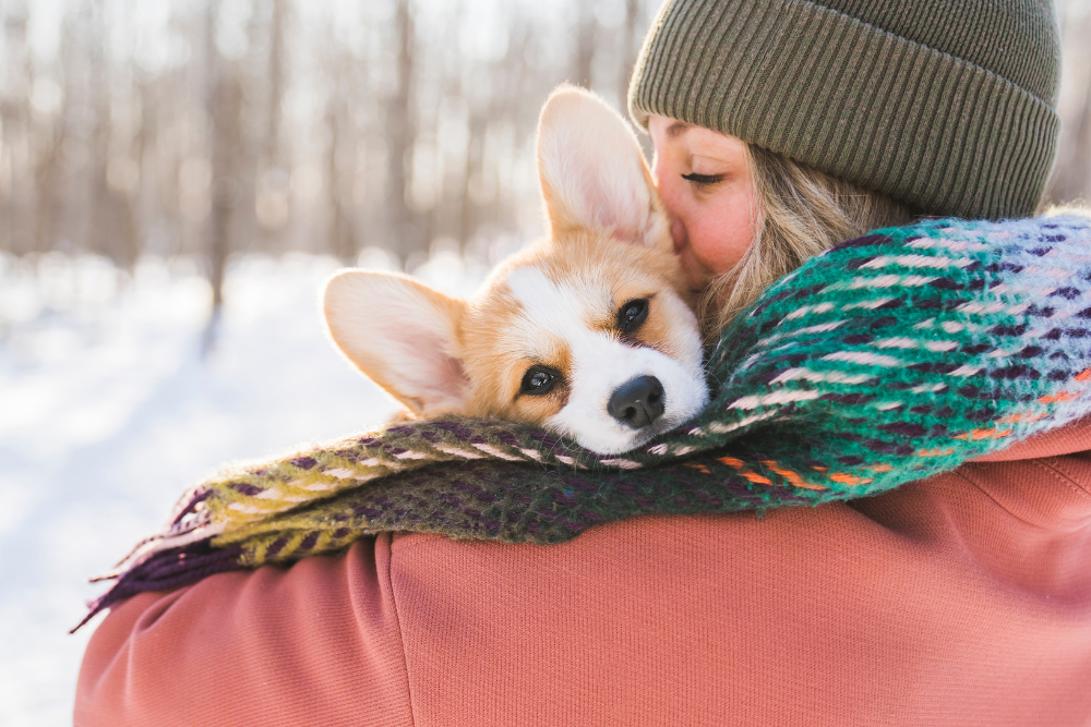 Best Bark Blog 2