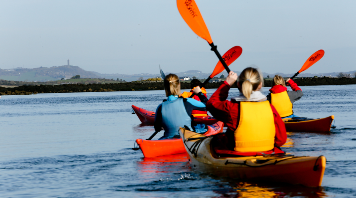 A group kayaking on Strangford Lough.