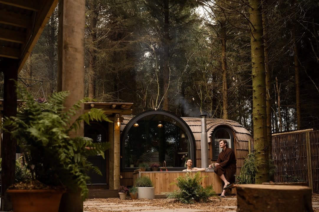 Cabin's in Galgorm forest with trees in the background.