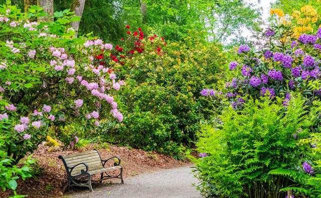 Wisdom of Nature Series: A Meditation Practice in the Garden