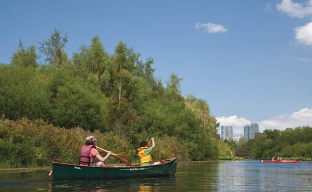 Mercer Slough Nature Park