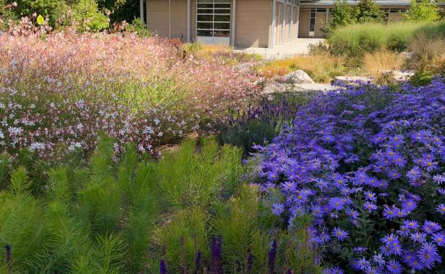 Bellevue Botanical Garden