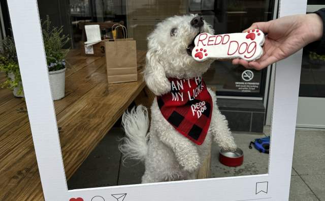 The Redd Dog