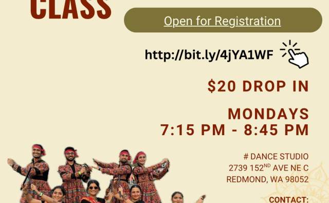 Dance Classes for Traditional Gujarati Folk Dannce