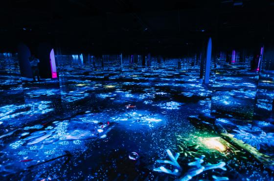 Bubble Planet LED room