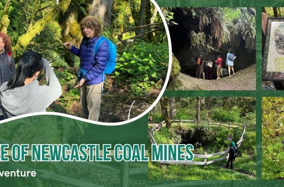 Coal Creek Key Banner