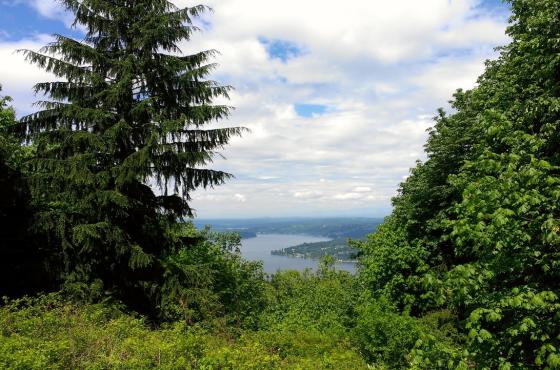 Cougar Mountain Anti-Aircraft Peak