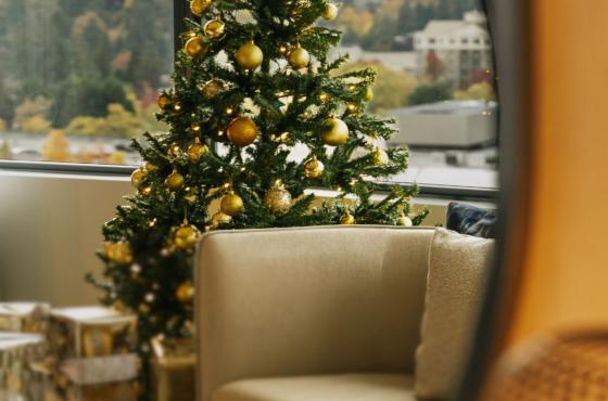 Holiday Suite Retreat Offer