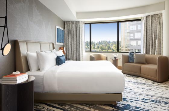 King Junior Suite with a Scenic View