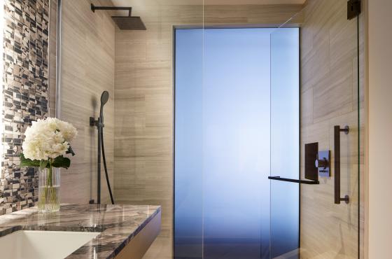 Standard shower light filtering window