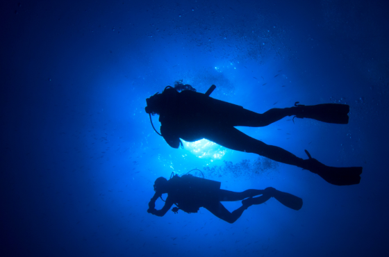 Diving