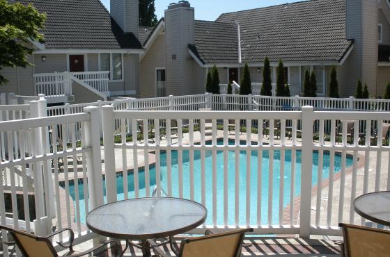 Pool and Backyard