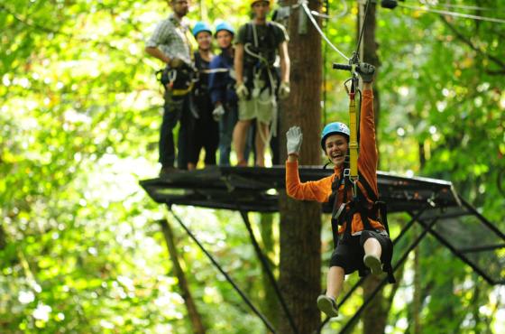 Bellevue Zip Tour