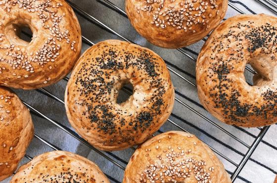 Unsplash Bagel