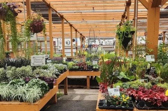 bellevue nursery interior