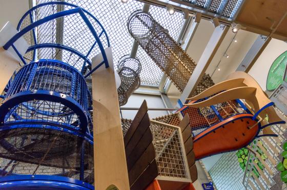 Atrium Climber